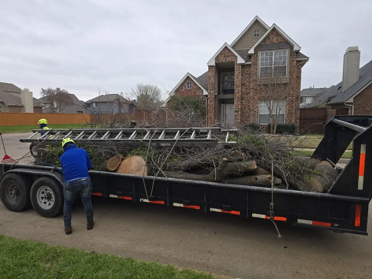 Expert Lot Clearing with proper safety equipment in Clarksville